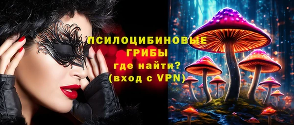 прущая мука Гусиноозёрск