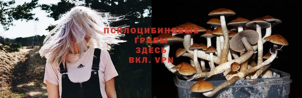 ALPHA PVP Заводоуковск