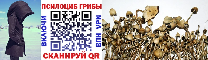 Псилоцибиновые грибы мицелий Искитим