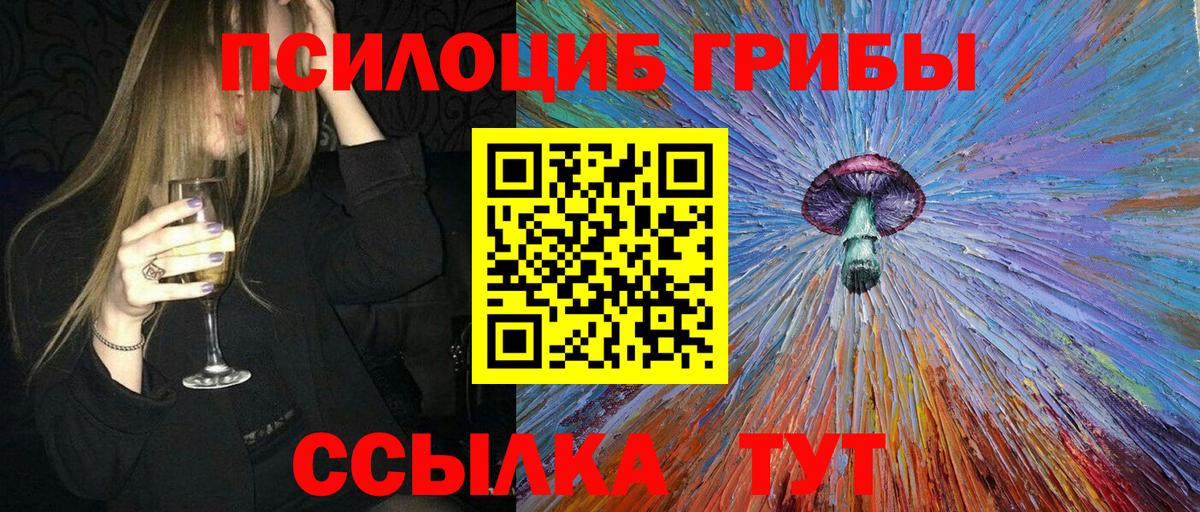 Искитим  Галлюциногенные грибы Cubensis  Вход с VPN 