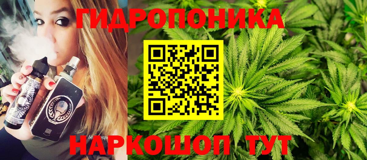 Шишки марихуана план  МАРИХУАНА сатива  Искитим  Бошки Шишки планчик  Вход с VPN  Каннабис Amnesia 